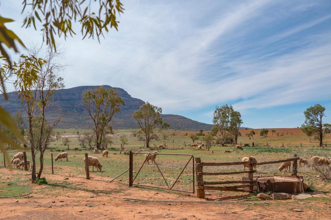 Rawnsley Park Station Hotell Flinders Ranges Eksteriør bilde