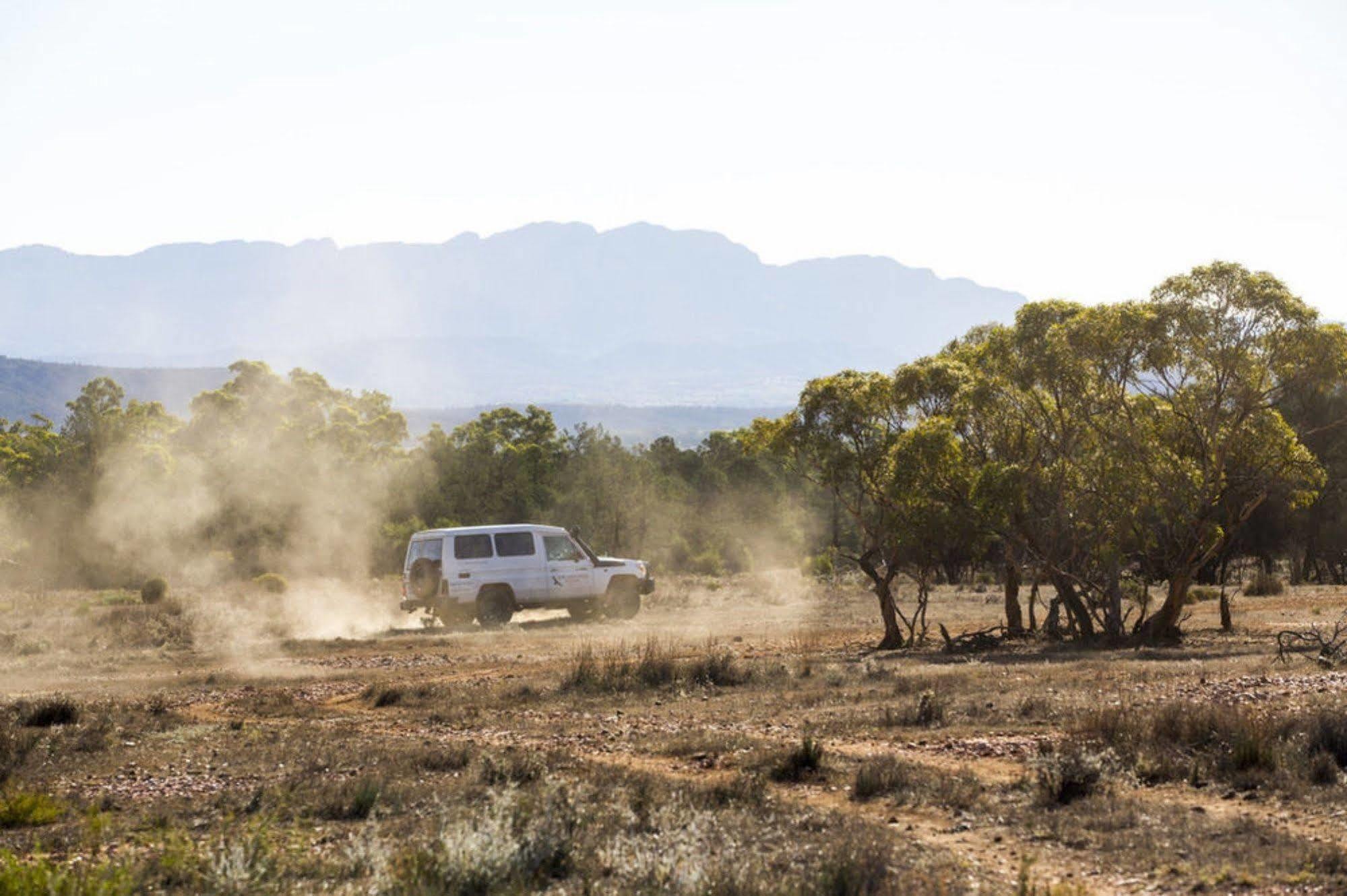 Rawnsley Park Station Hotell Flinders Ranges Eksteriør bilde